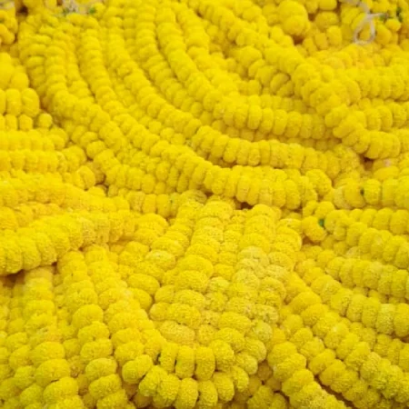 Marigold Garland Flower