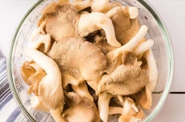 Oyster Mushrooms