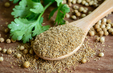Coriander Powder