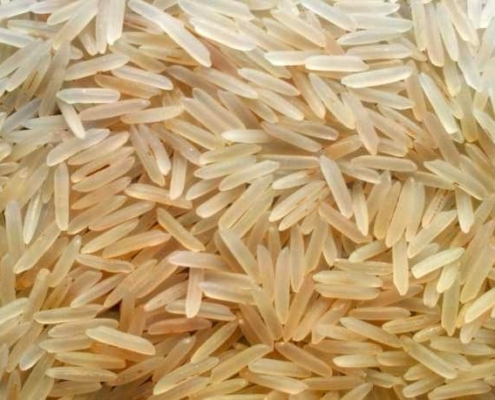 1509 GOLDEN SELLA BASMATI RICE