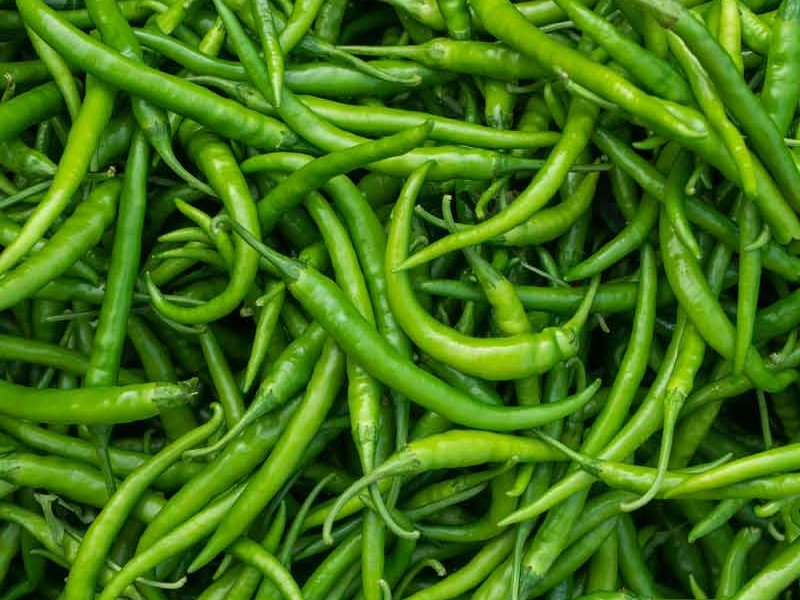 Green Chilli