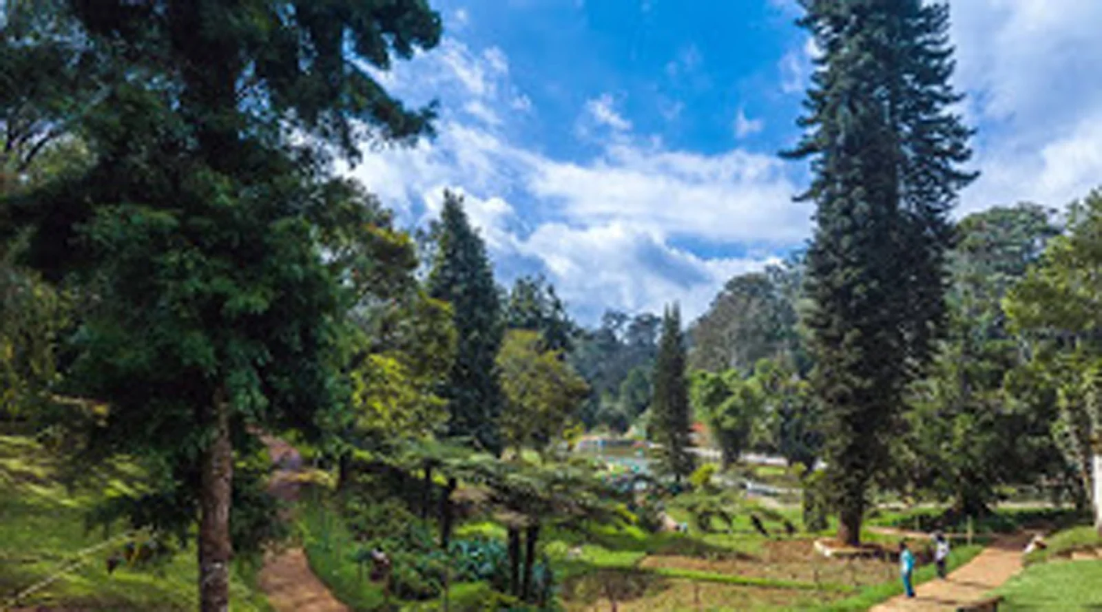 Ooty 1N/2D