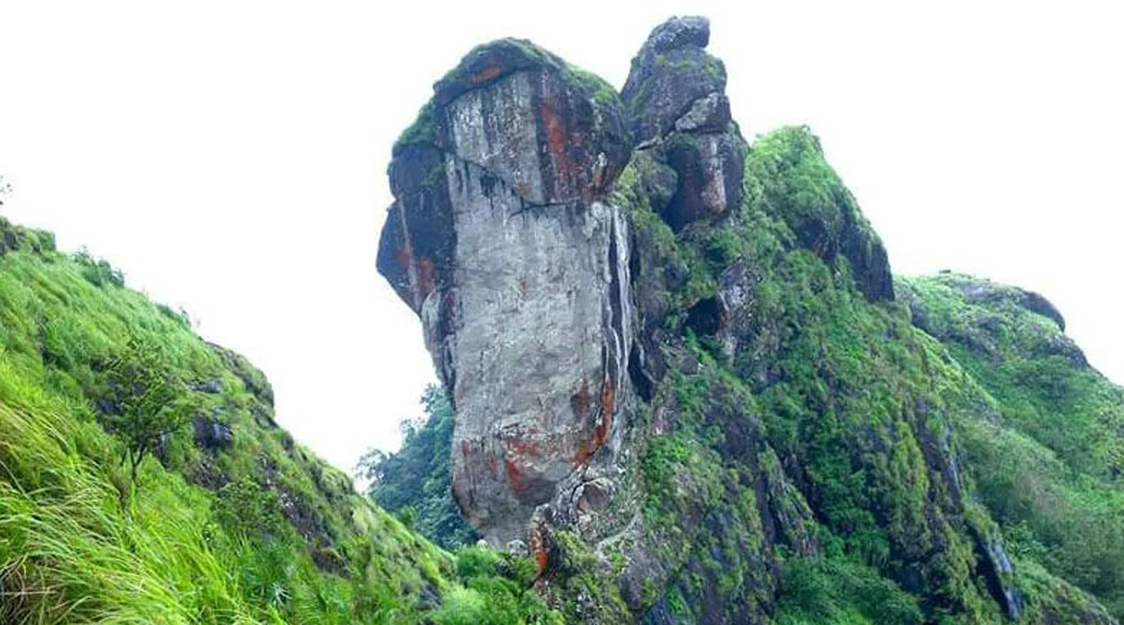 Thekkady, Idukki Package (2N/3D)