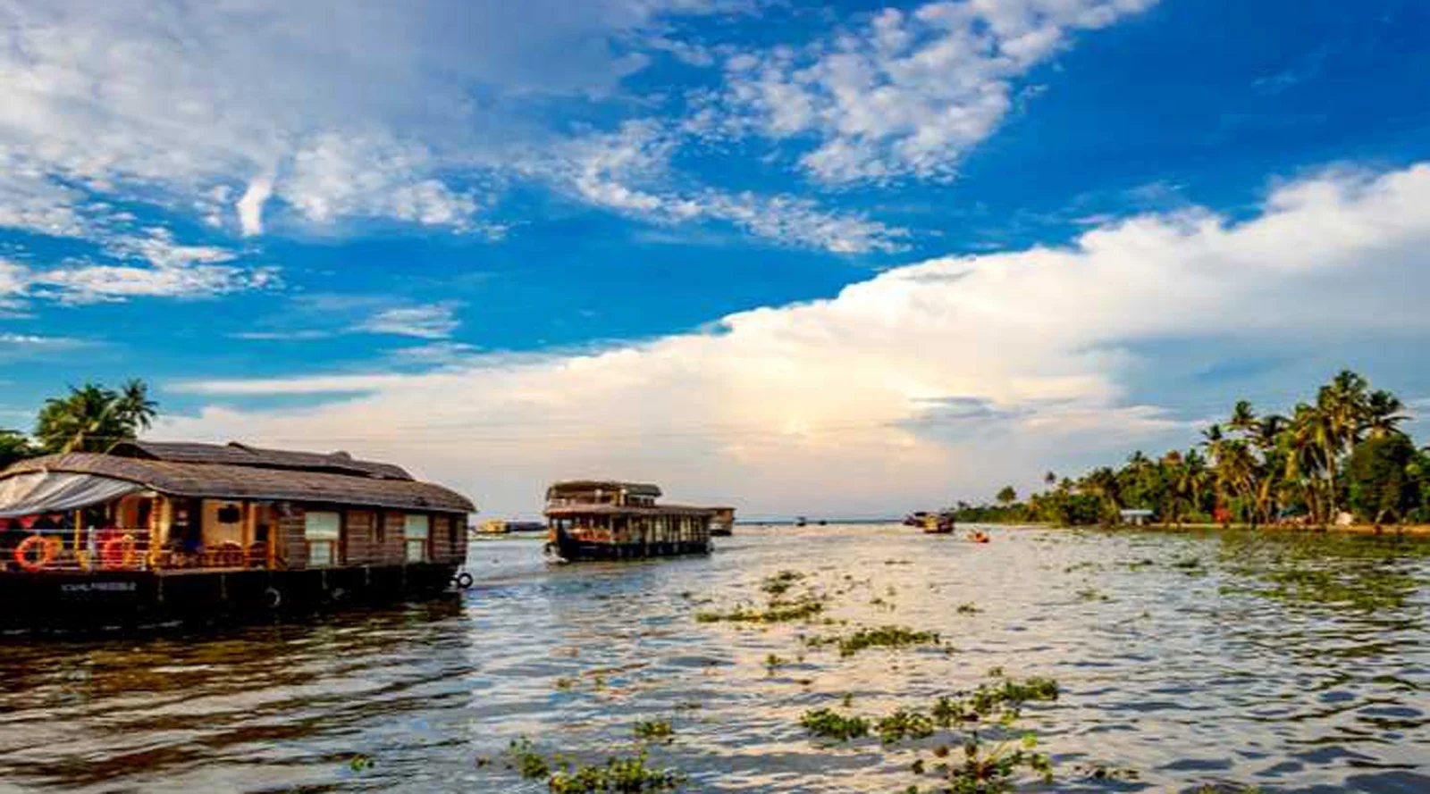 Alleppey, Kochi , Munnar Package (3N/4D)