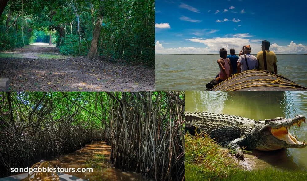 Dangamal , Bhitarkanika Sanctuary Wildlife Trip 2N/3D