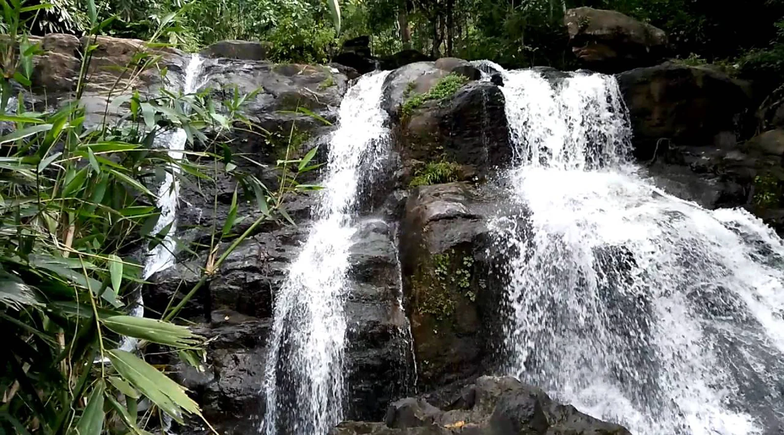 Exclusive Pathanamthitta Tour Package 1N/2D