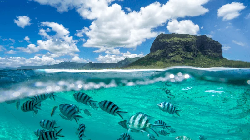 Mauritius Adventure Tour Package 4N/5D