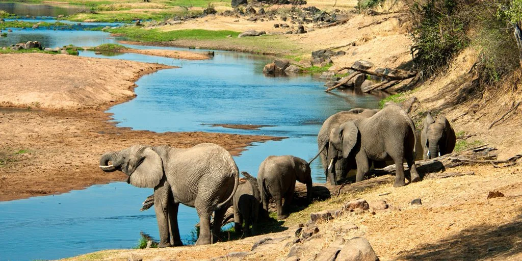South Africa Tour Package 2N/3D - Ruaha National Park
