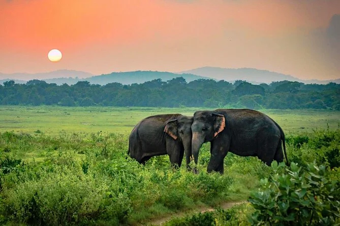 SRI LANKA 5 Nights 6 Days