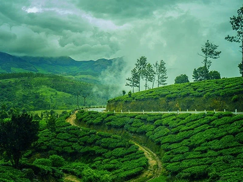 Munnar and Kanthalloor Package 3N 4D