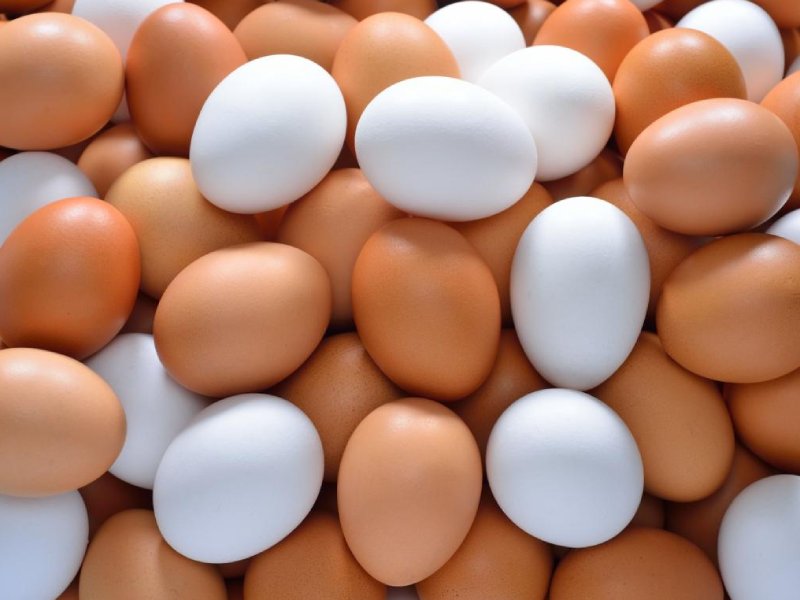 Eggs