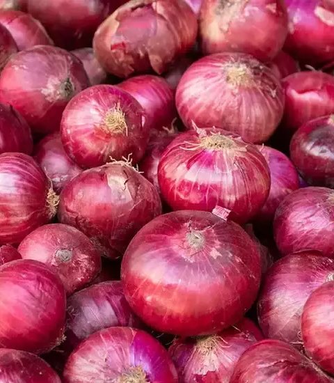 Onion