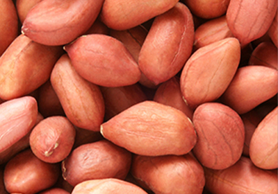 Peanut Kernal Groundnut