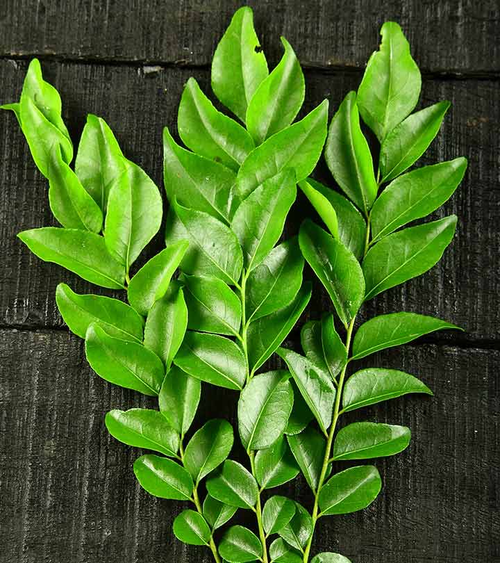 Curry Leaves