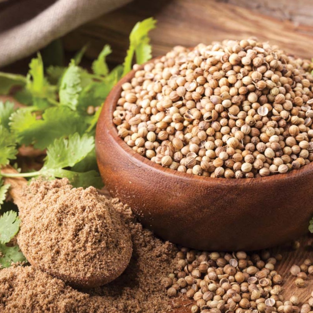 Coriander seeds / Powder