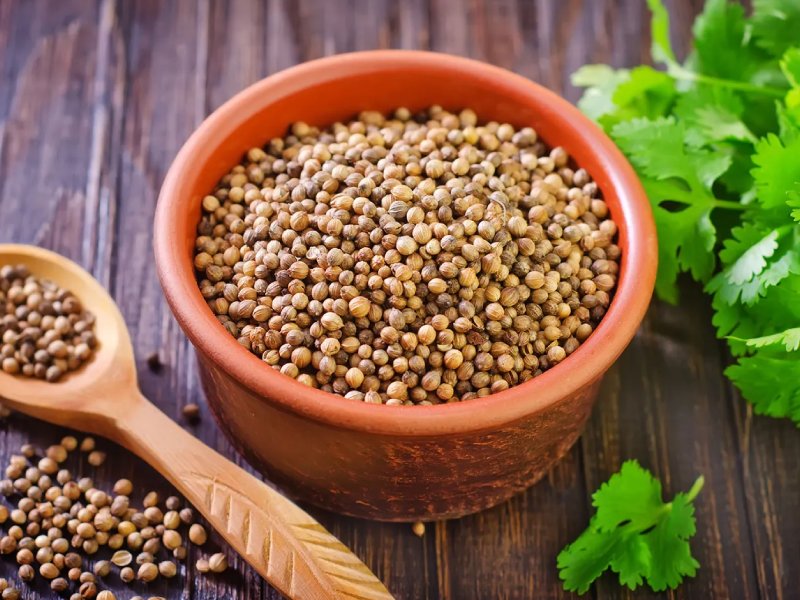 Coriander Seeds