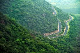 Chennai to Kerala Hill Stations 3N/4D Luxury 53-Seater Coach Tour