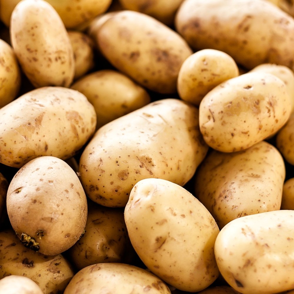 Potato