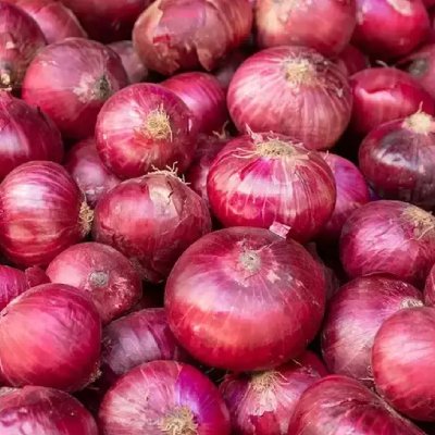ONION