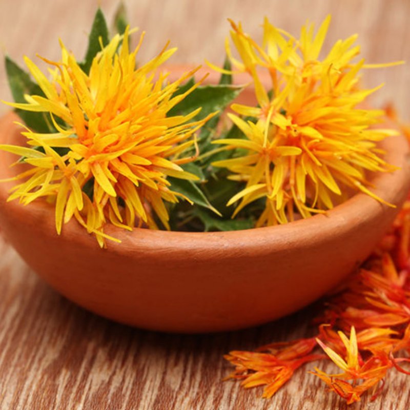 Safflower