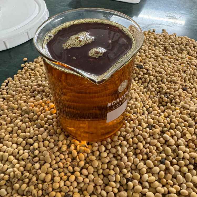 Soyabean degummed crude oil