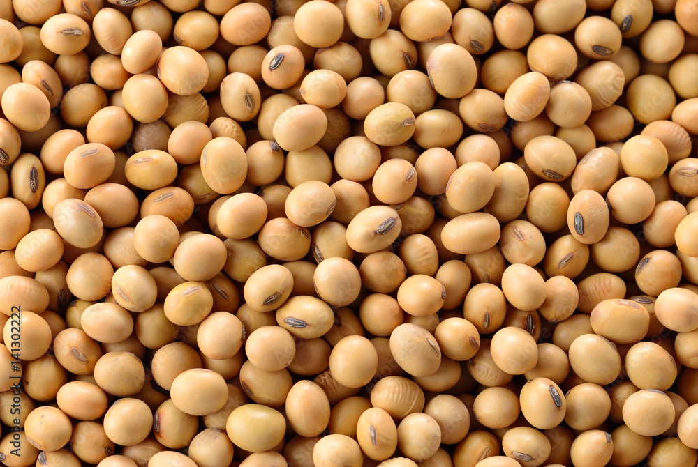 Soybean, Soya bean