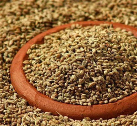 Ajwain
