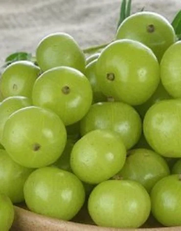 Amla