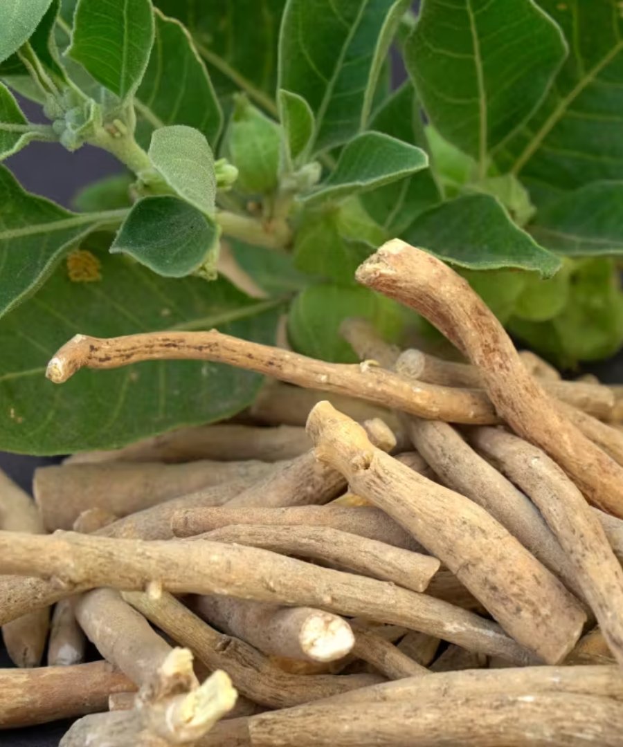 Ashwagandha