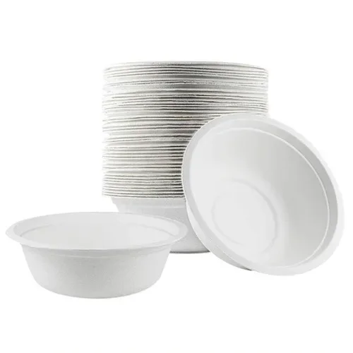 Bagasse Paper Trays