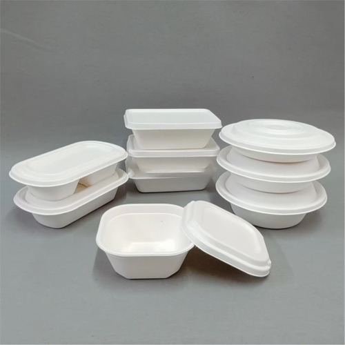 Bagasse Paper Fast Food Containers