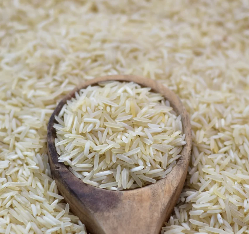 Basmati Rice