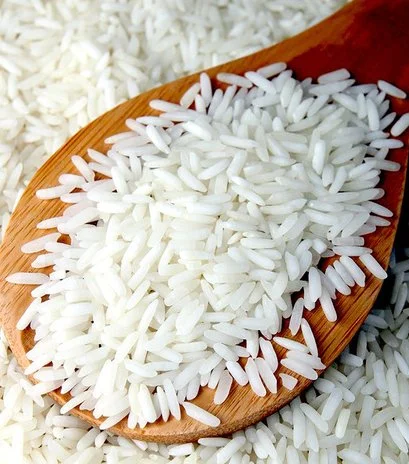 Rice