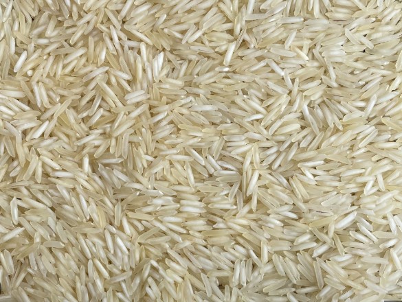 Basmati Rice | Traditional Basmati Rice – Premium Long-Grain Rice for Global Markets