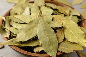 Bay Leaf