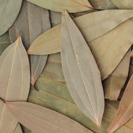 Bay Leaf