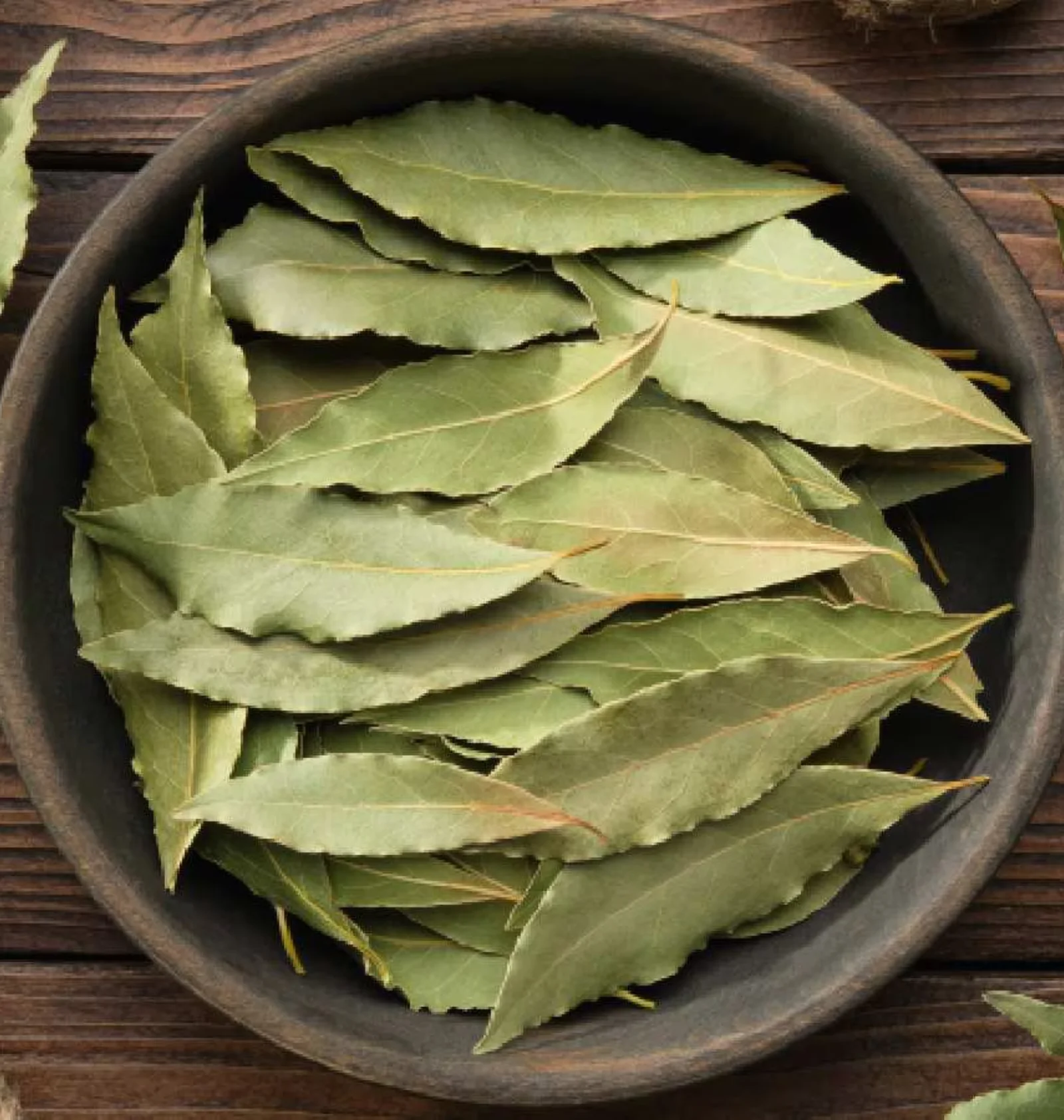Bay Leaf