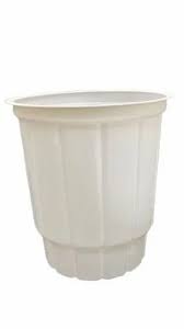 Biodegradable Glasses