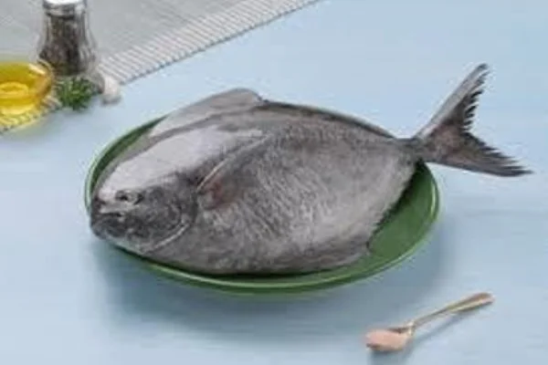Black Pomfret