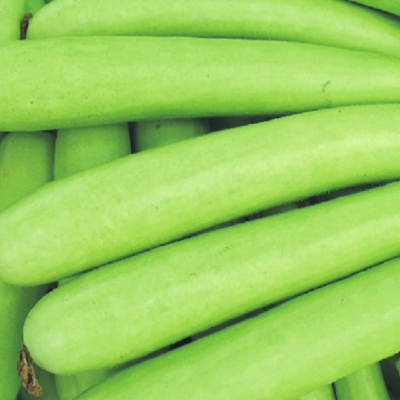 Bottle Gourd