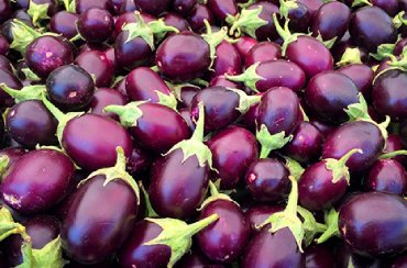 Brinjal