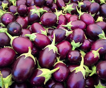 Brinjal