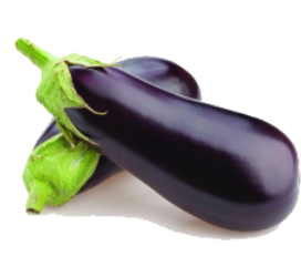 Brinjal