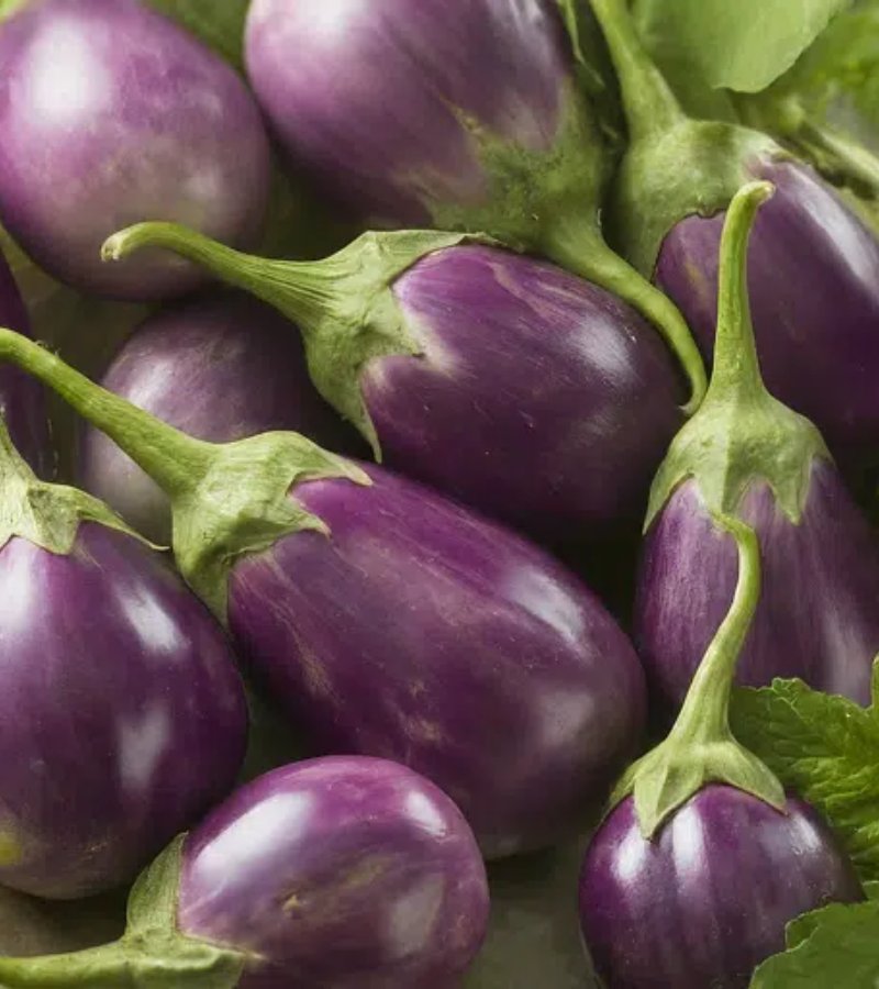 Brinjal