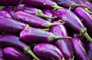 Brinjal