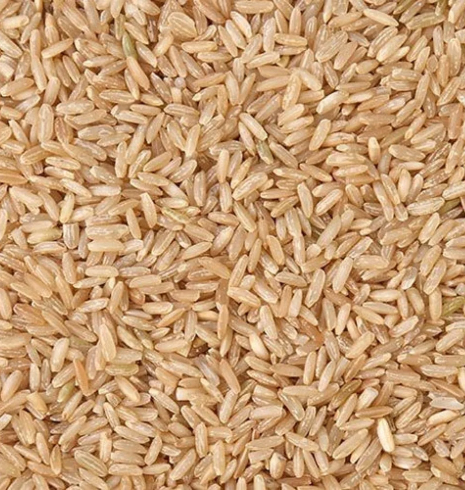 Brown Rice