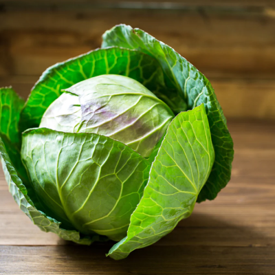 Cabbage