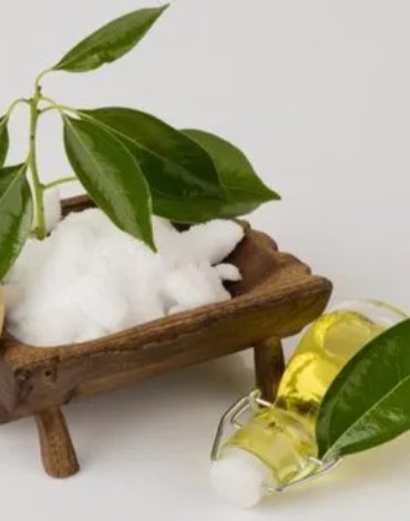 Camphor Extract (Pure)