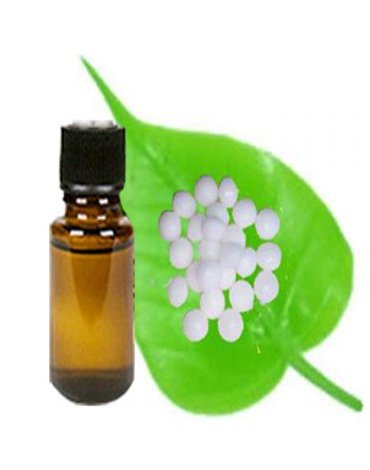 Camphor Oil Edible (Pure)