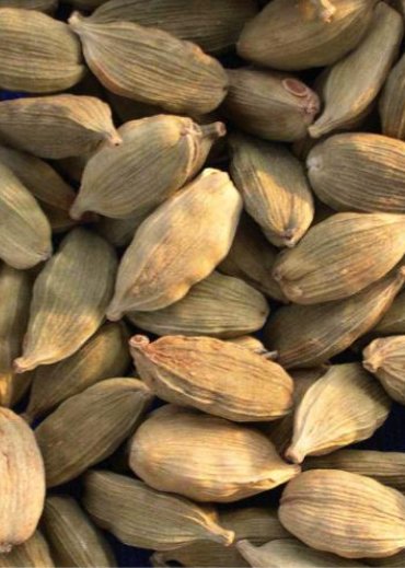 Cardamom